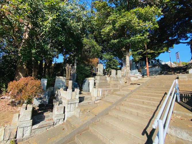 真性寺 寸景