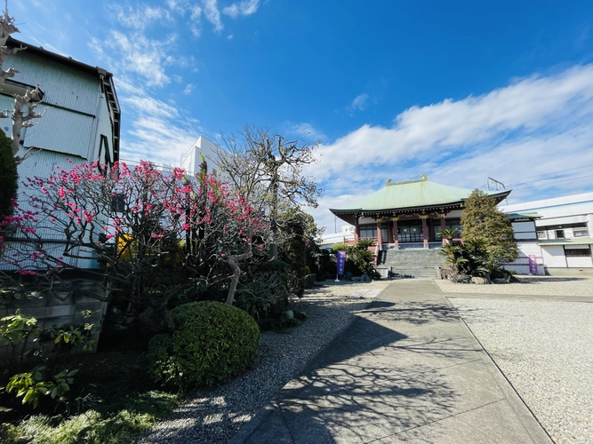 御幡霊苑 園内寸景