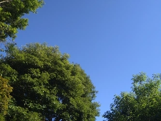 豊かな自然と落ち着いた雰囲気のお寺