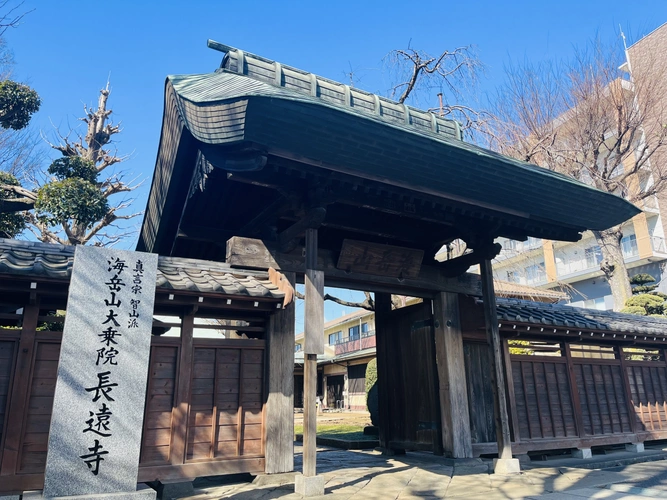 海岳山 長遠寺 〔旧薬師堂墓地〕 山門