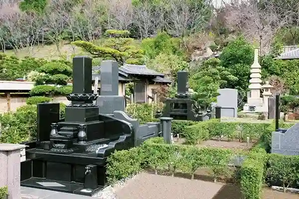 多彩なプランから選べる