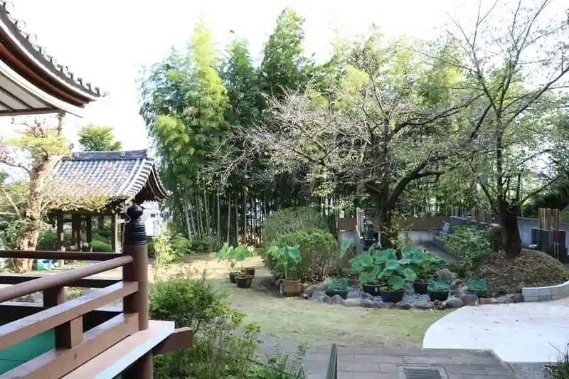 能谷山 妙行寺 趣のある境内