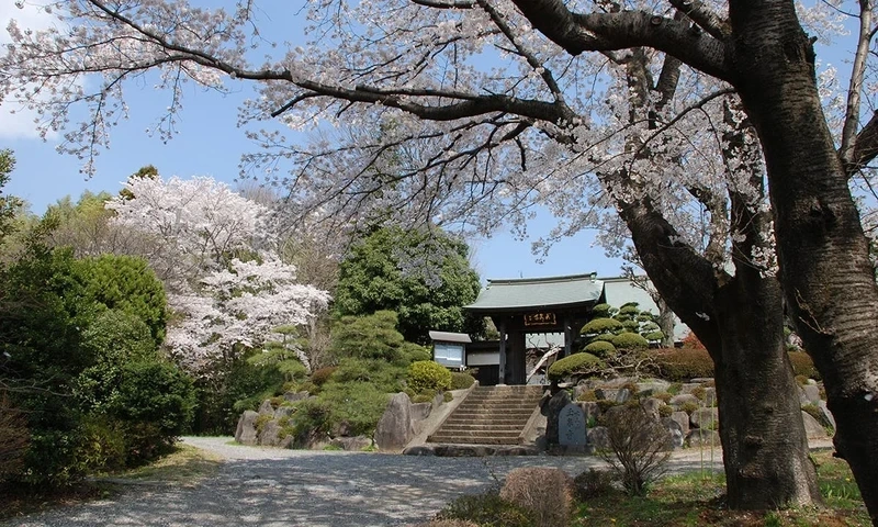 八王子市 玉泉寺