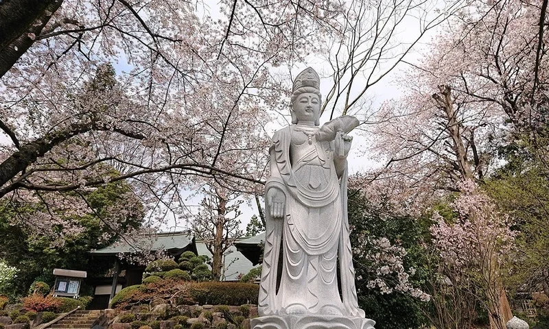 八王子市 玉泉寺