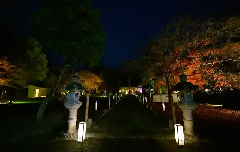 紅葉のライトアップ