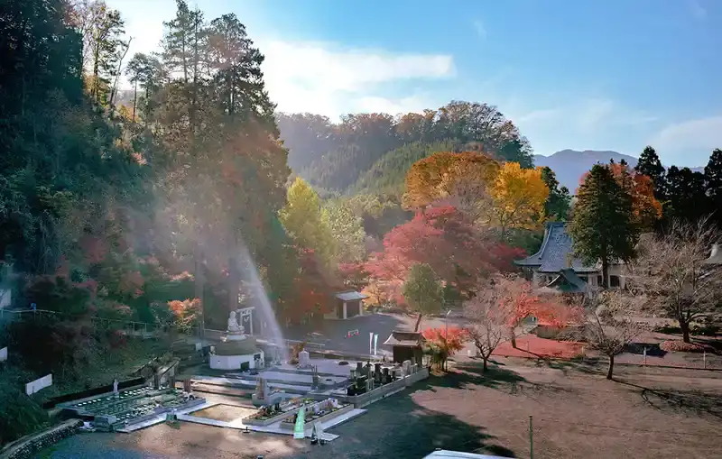 全景