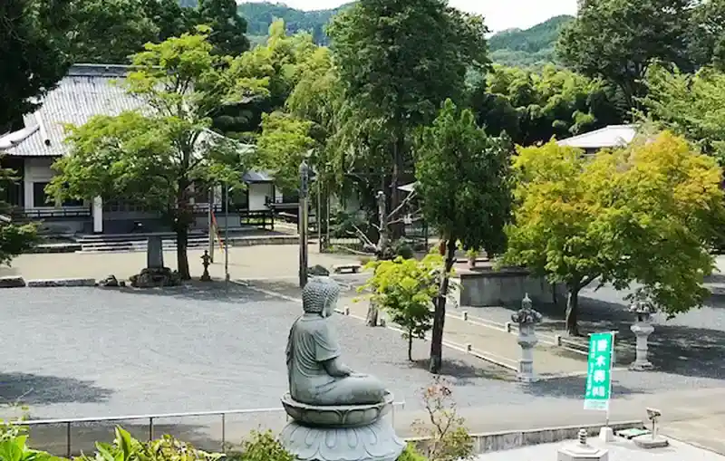 全景