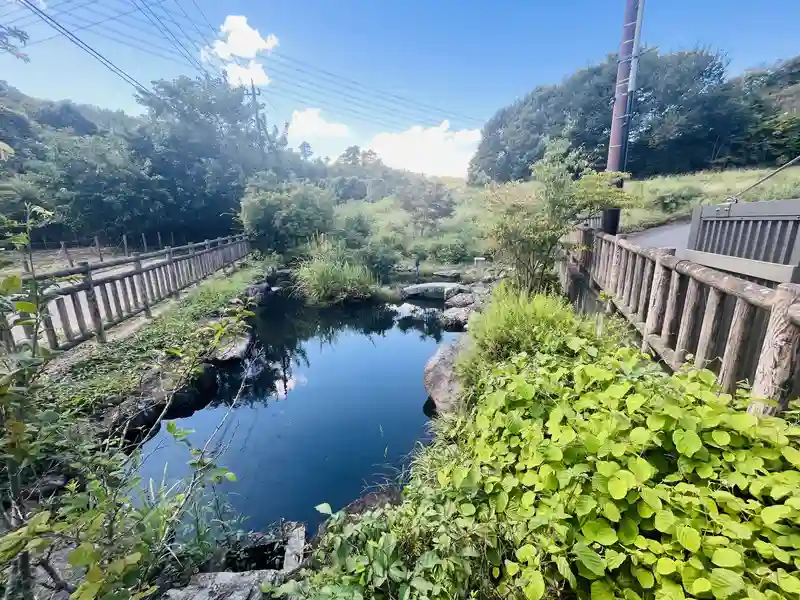 東京ゆりが丘苑 園内風景①