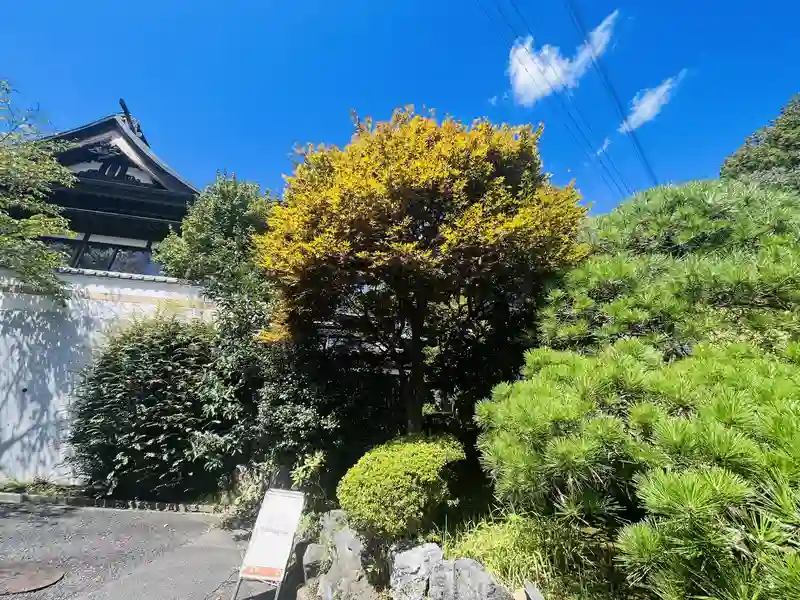 東京ゆりが丘苑 園内風景②