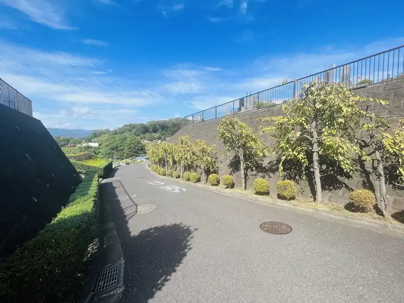 むさしの霊園 園内道路➀