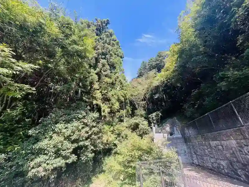 高尾山 薬王院墓地 周辺風景②