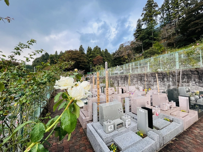 西東京墓苑 一般墓とバラ