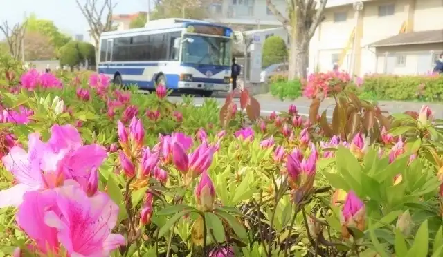 送迎バスあり！車でのアクセスも便利