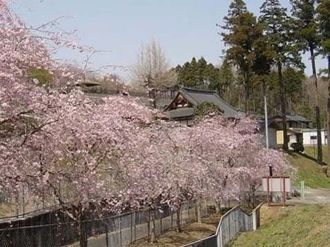 長楽寺 