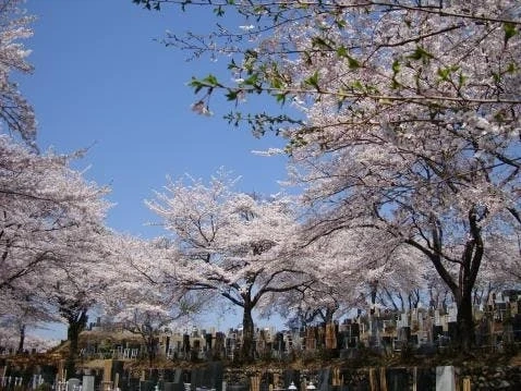 八王子市 高尾墓園 常修寺