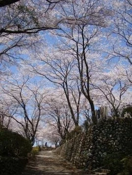 八王子市 高尾墓園 常修寺