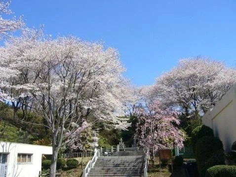 八王子市 高尾墓園 常修寺