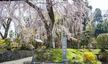 アクセスしやすい寺院墓地