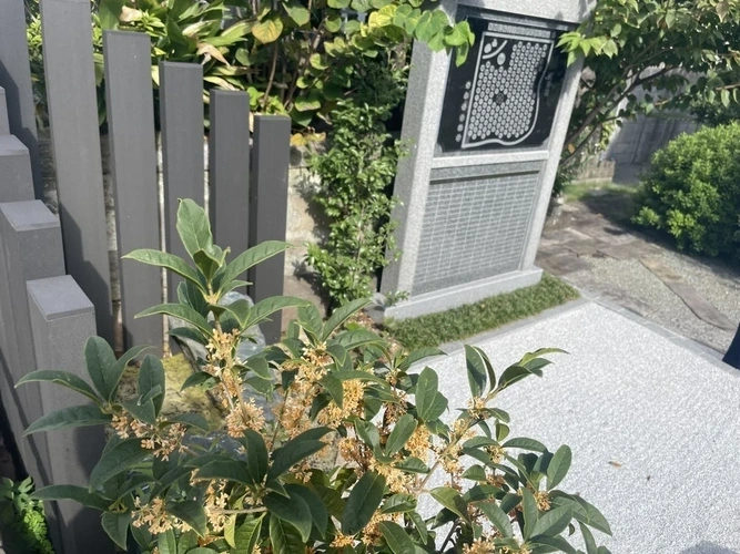 宝蔵寺 白金こもれびの杜 樹木葬・永代供養墓 