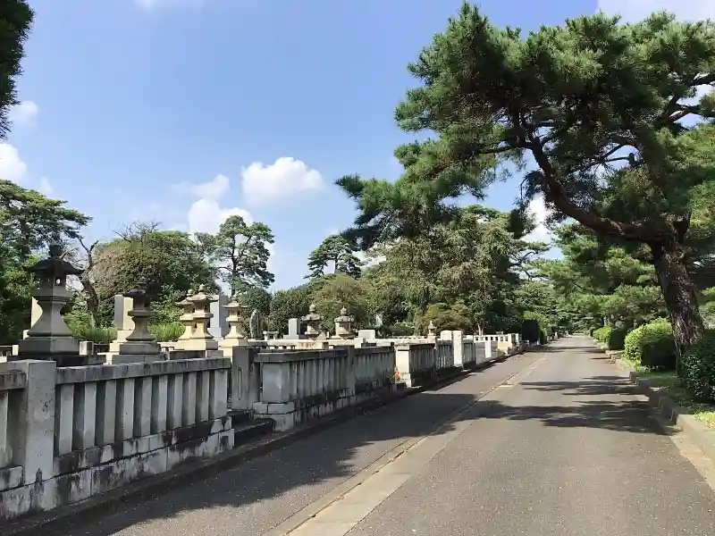 都立 多磨霊園 