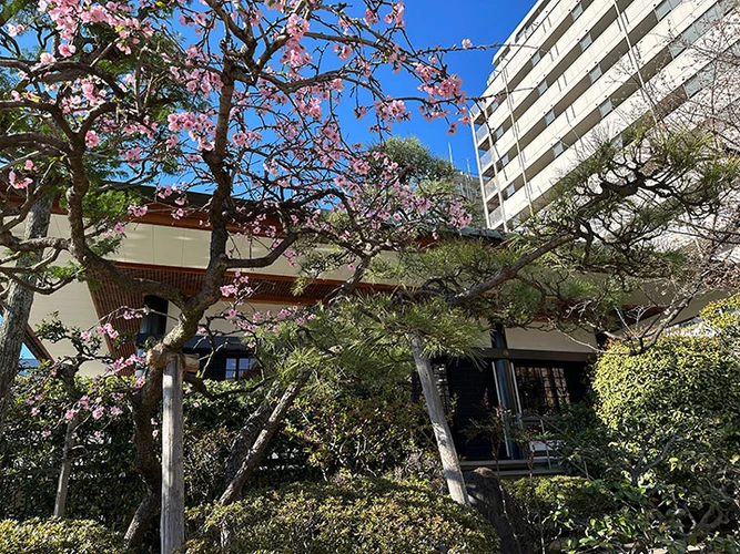 千代田区 正行寺 のうこつぼ