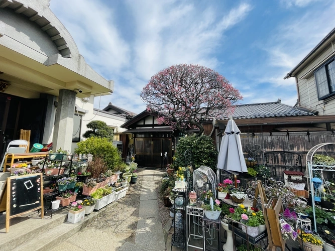 天龍山 福勝寺 境内