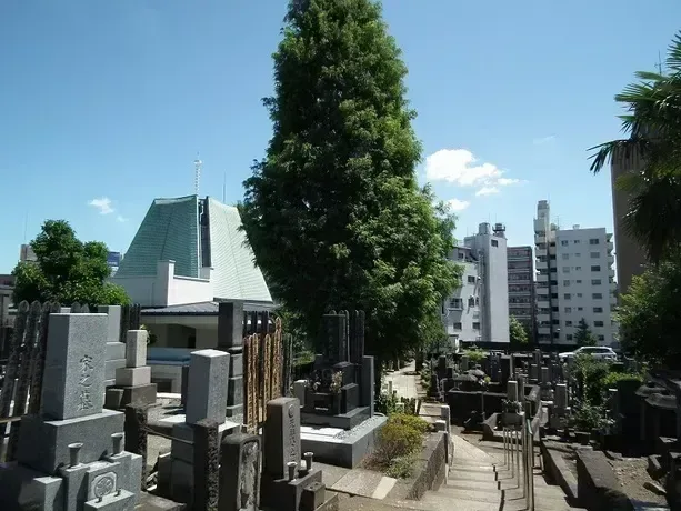 白山蓮華寺浄苑 日当たりのいい浄苑