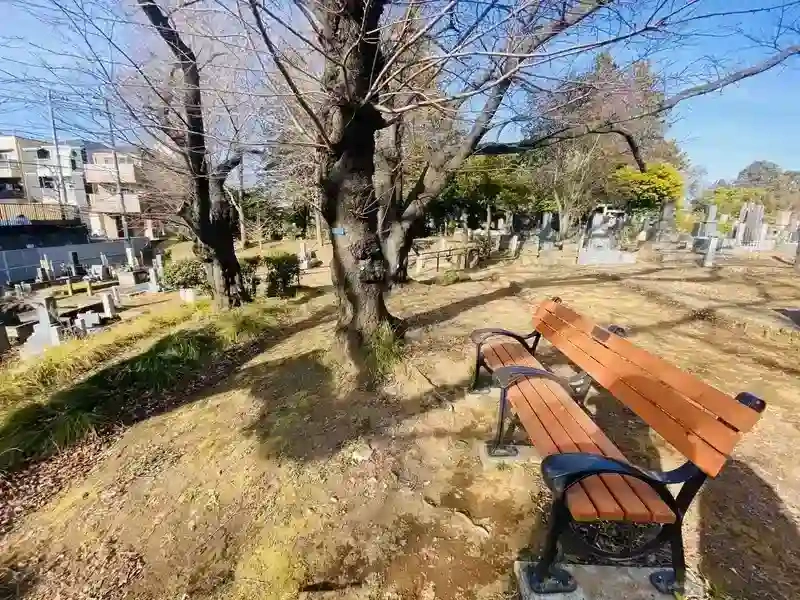 ベンチ