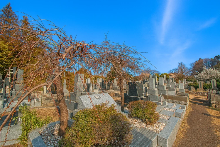 都立 染井霊園の写真