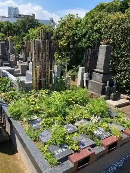 プレミアム西巣鴨まごころ樹木葬墓地