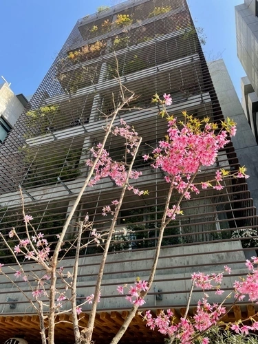 屋内墓苑 松栄山 仙行寺 沙羅浄苑/池袋大仏 永代供養墓 屋内墓苑 仙行寺