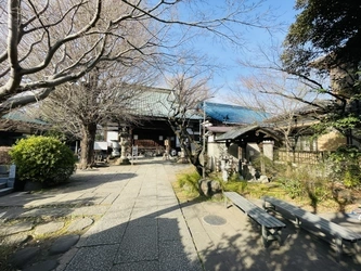 四季折々の美しい景観が広がる静かな散歩道