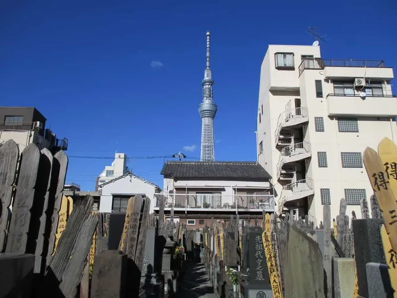 善行院 墓地からもスカイツリーが見えます。