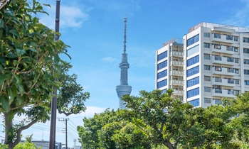 最寄駅から徒歩圏内