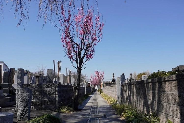 九品院 永代供養塔 