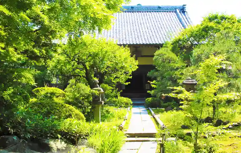 それ以外の神奈川県の市 「愛樹木葬」北鎌倉四季の風樹木葬墓地