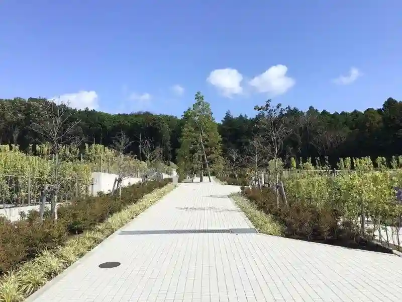 自然豊かな横浜市の公園墓地