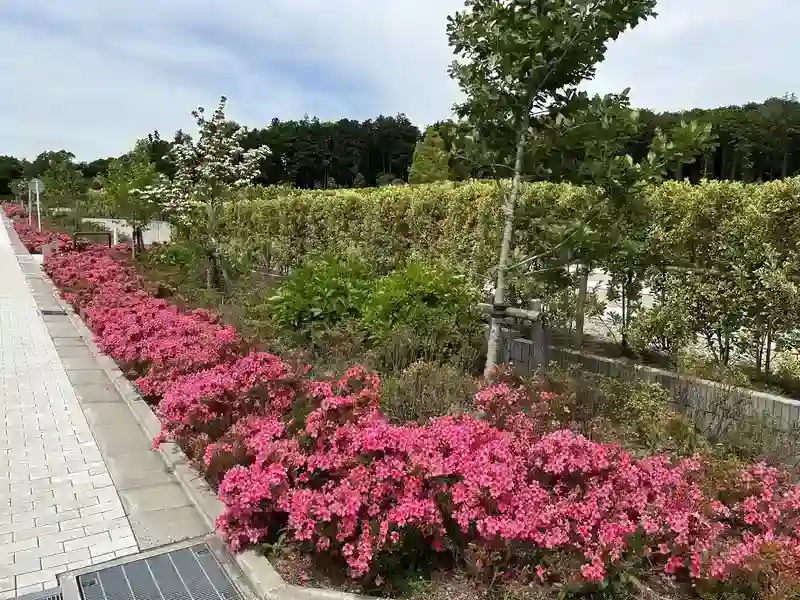 公園墓地 川井聖苑 苑内の植栽もきれいに管理されています。