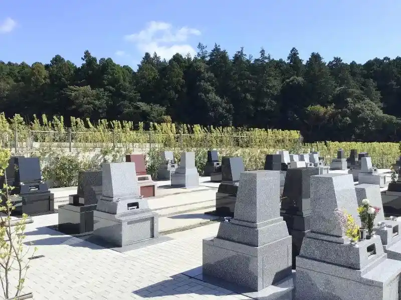 公園墓地 川井聖苑 中央のシンボルツリー