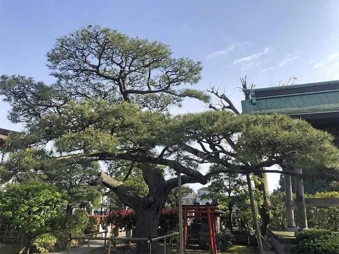 樹木葬墓地「令和の杜 金沢八景」 