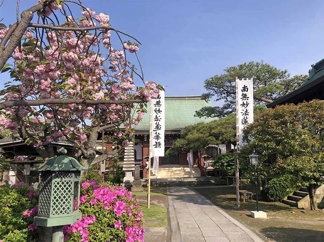 樹木葬墓地「令和の杜 金沢八景」 