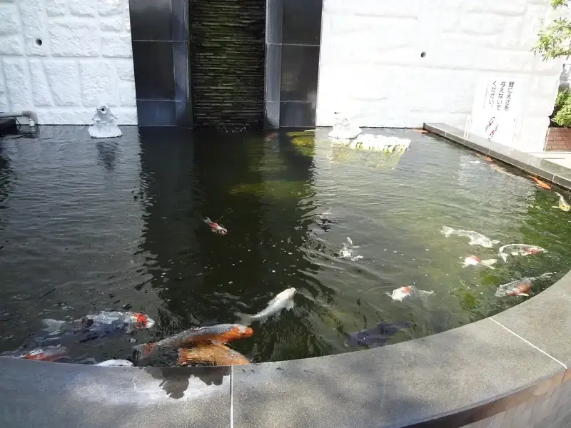 ヒルズ川崎聖地 綺麗な池