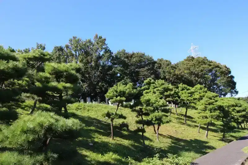 川崎市営 緑ヶ丘霊園(津田山霊園) 松林