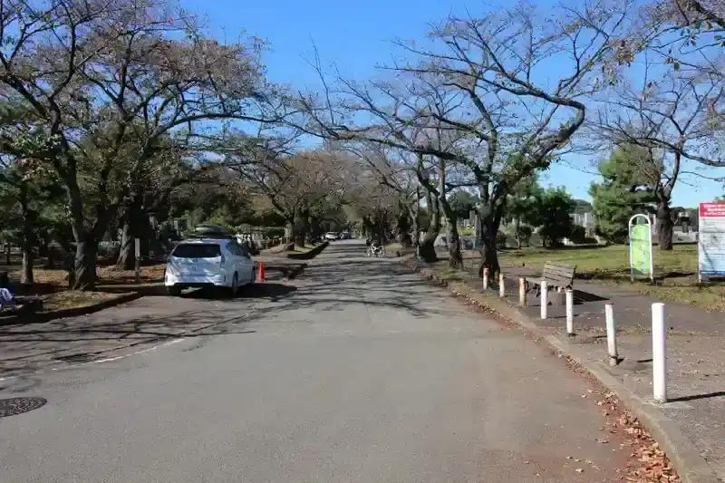 川崎市営 緑ヶ丘霊園(津田山霊園) 車が往来できる園内