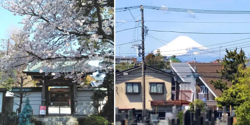 プレミアム湘南江ノ島樹木葬墓地 法要施設の写真