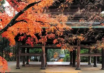 緑豊かで心落ち着く鎌倉市の寺院