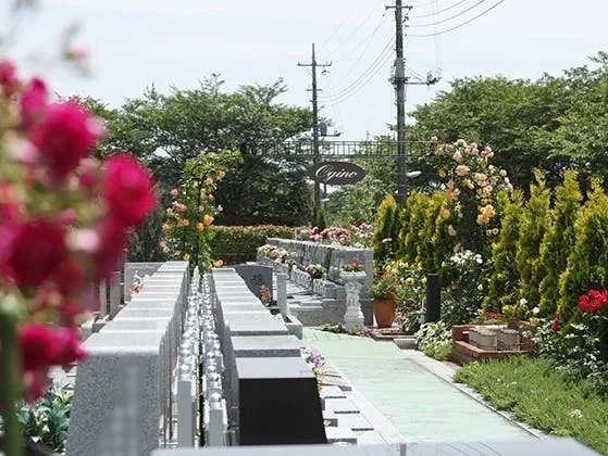 厚木市 バラの里 おぎの聖地公園