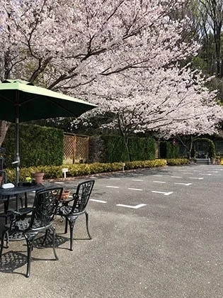 バラの里 おぎの聖地公園 