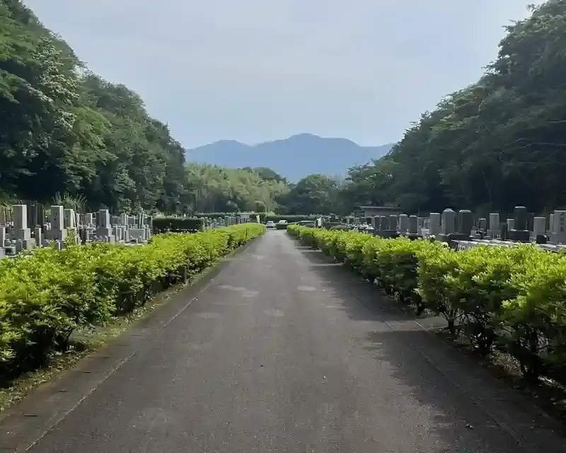 丹沢大山を望む