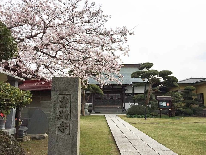 玄珊墓苑 樹木葬 永代供養墓「菩提」 